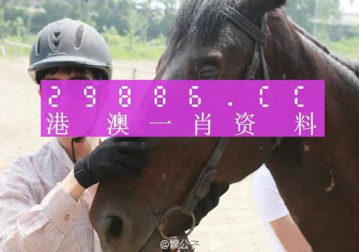 澳门一肖一码一必中一肖同舟前进,精细评估方案_体现版10.362