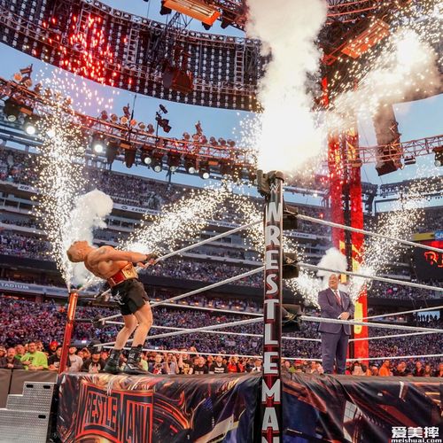WWE经典比赛与自然美景的心灵觉醒之旅