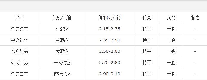 今日金乡大蒜价格，逆袭之路，见证变化的力量与学习的魅力