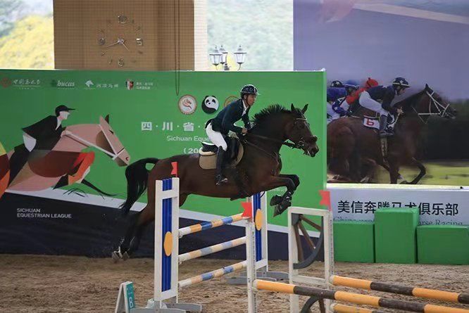 香港马术比赛详解，初学者入门手册与步骤指南