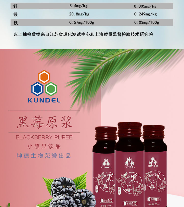 黑莓原浆价格表深度解析与市场洞察报告