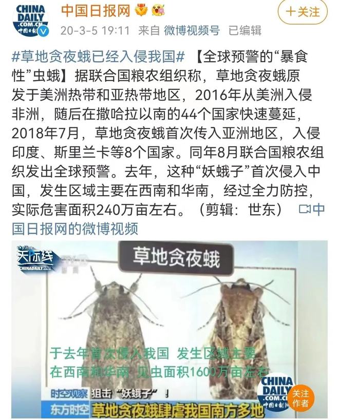 蝗灾蔓延全球，应对策略与最新动态