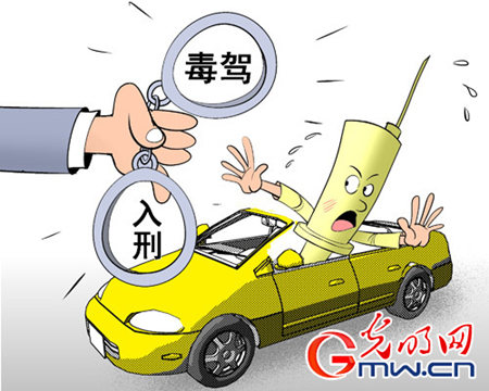毒驾现象，危害、法律规制与公众应对的最新动态