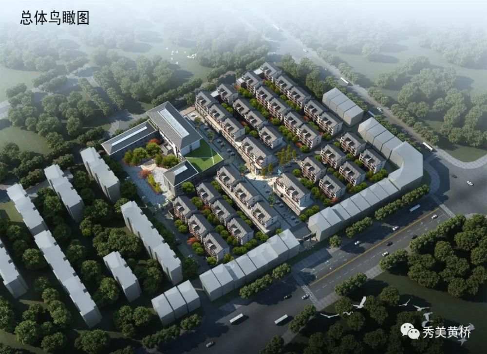 黄桥镇最新日常趣事，友情的温暖与家的陪伴