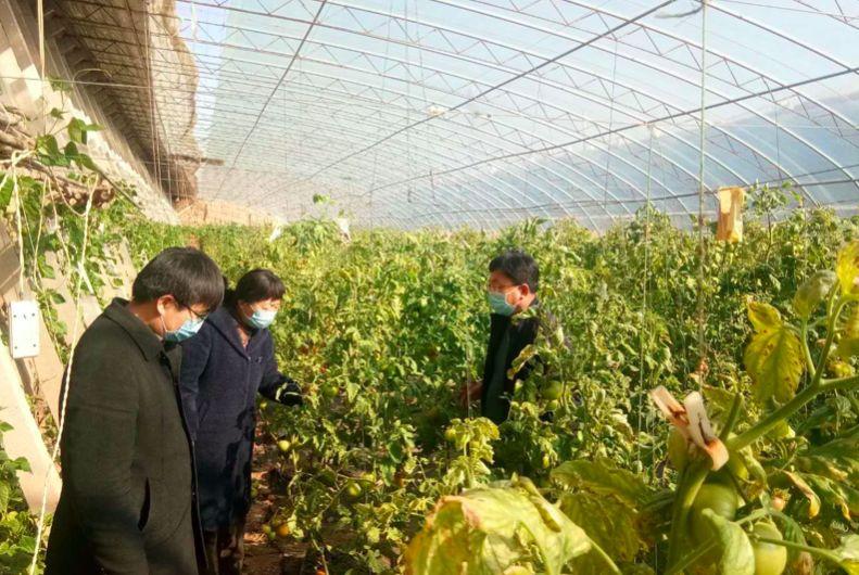 科技之光照亮郓城抗疫之路，最新疫情动态与应对措施